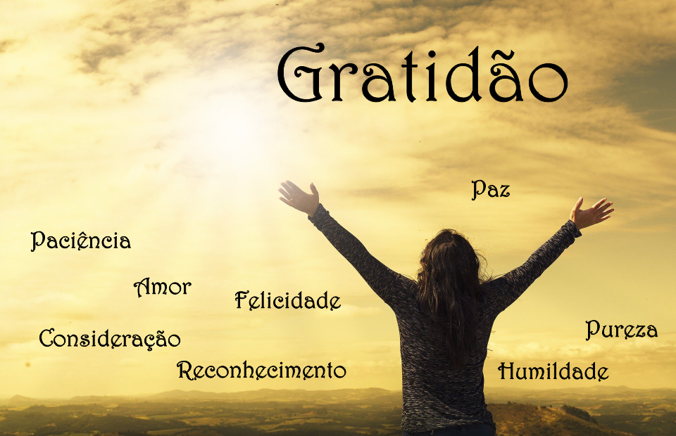 6 de Janeiro - A Gratidão acima de tudo.