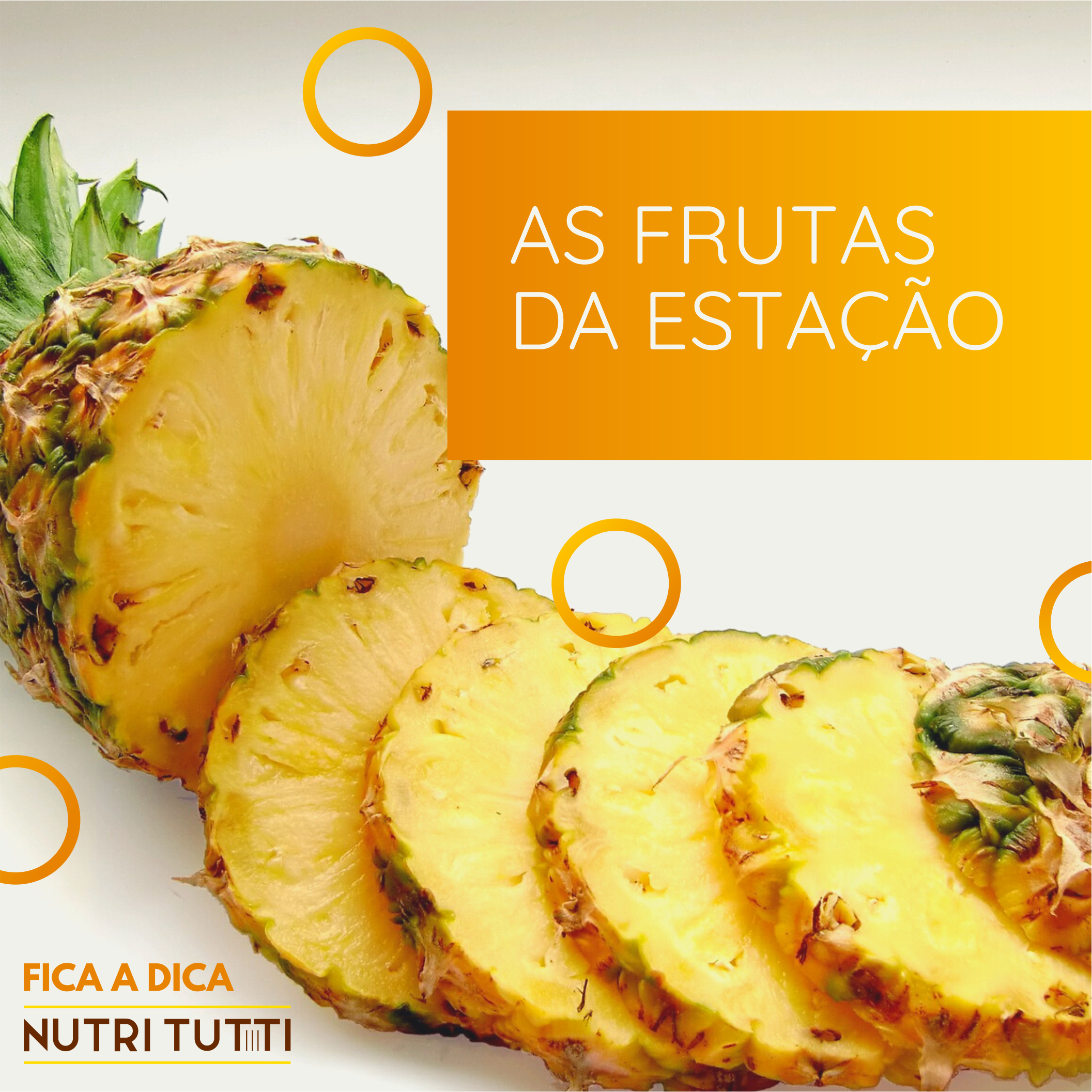 As frutas da Estação